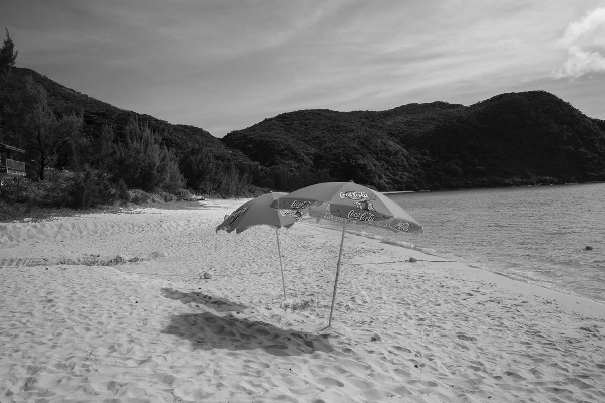 写真家・上原沙也加の個展が横浜市民ギャラリーあざみ野で開催 過去10