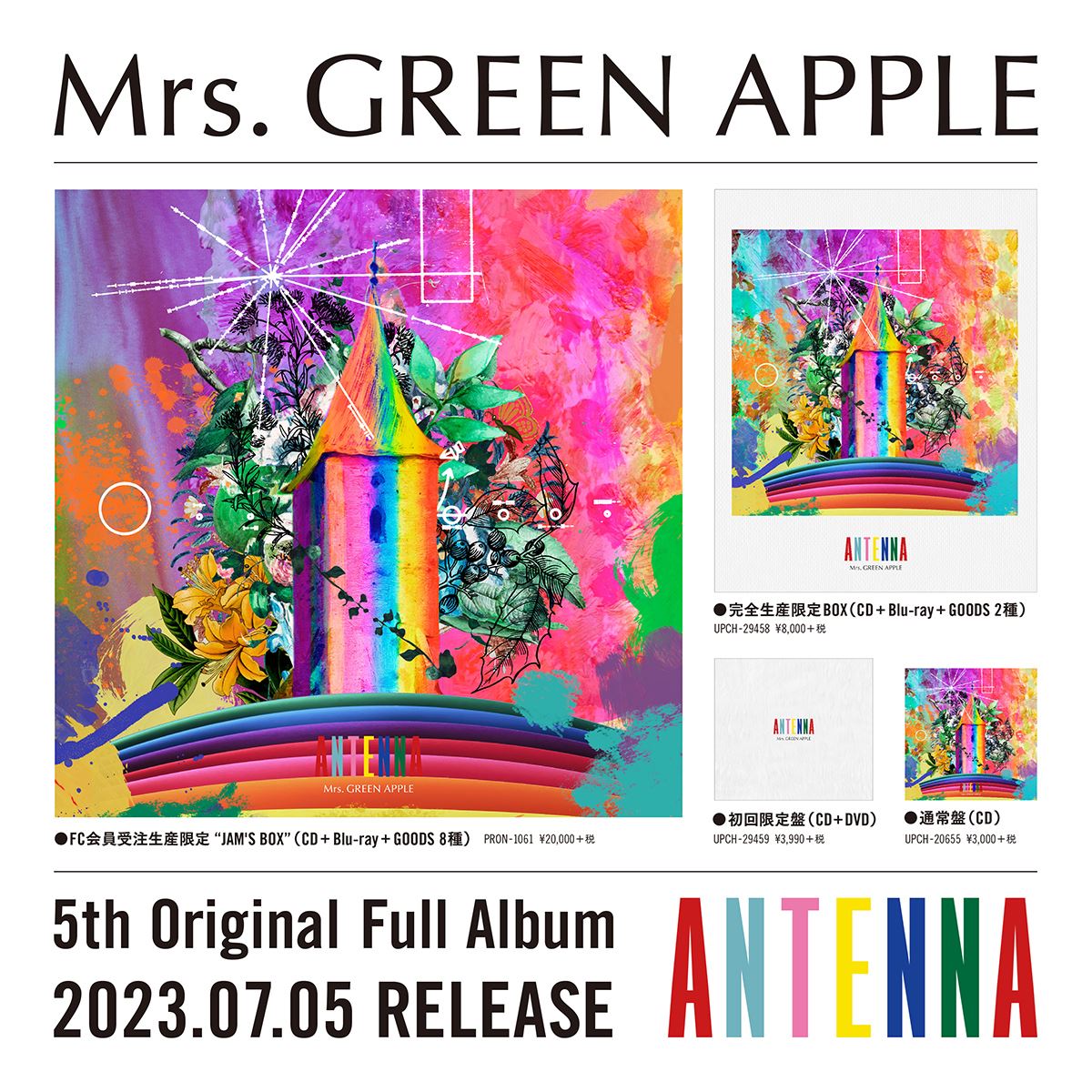 ENSEMBLETOUMrs.GREEN APPLE TOUR  DVD 2本セット ミセス