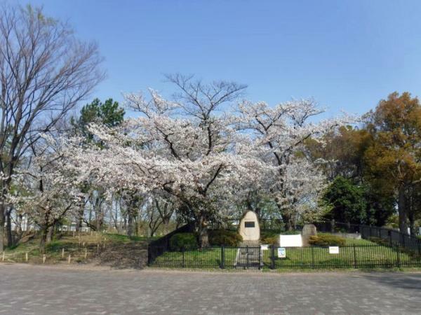 提供：公益財団法人東京都公園協会