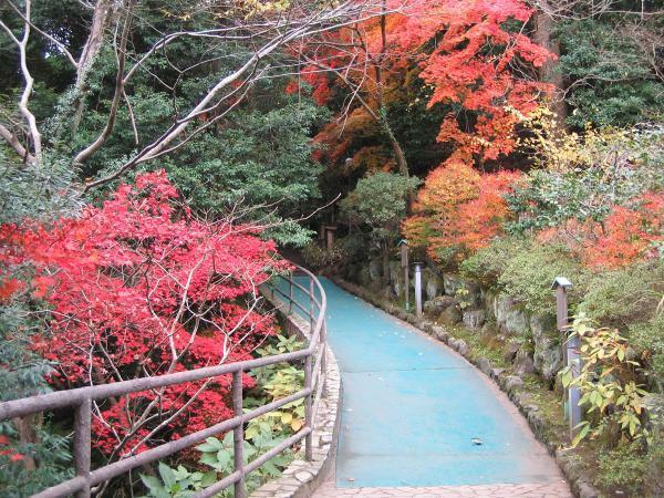 万葉公園の紅葉 ぴあエンタメ情報