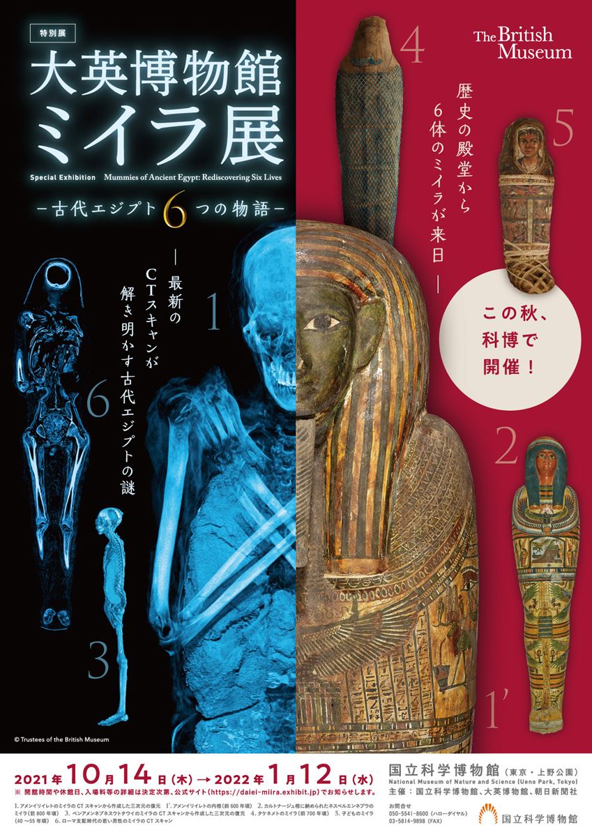 特別展「大英博物館ミイラ展 古代エジプト6つの物語」