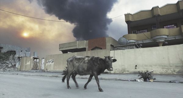 (C)2017 Human Flow UG. All Rights Reserved.