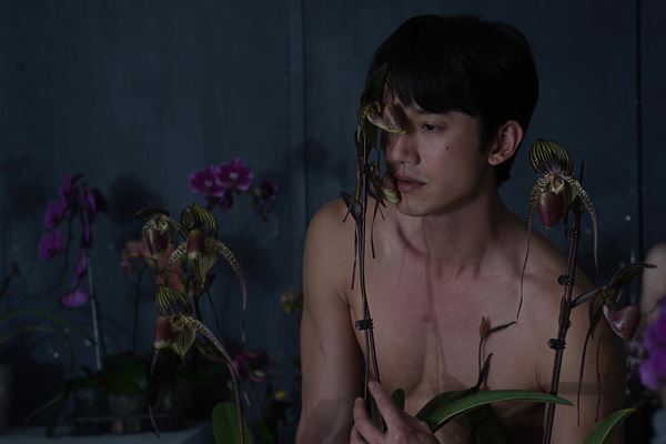 (C)2024 16cc Company Limited. All Rights Reserved.