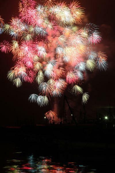 谷田一郎「百花繚乱」