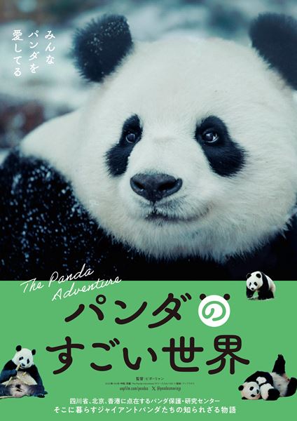 /shared/materials/058b4a9b-2dbd-4178-9256-8efd7c30a667/thumbnail