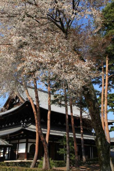 提供：相国寺　※転載禁止