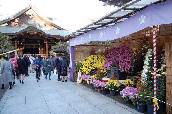 湯島天神菊まつり ぴあエンタメ情報