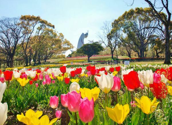 提供：万博記念公園マネジメント・パートナーズ