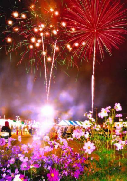 おかべコスモス祭 花火大会 ぴあエンタメ情報