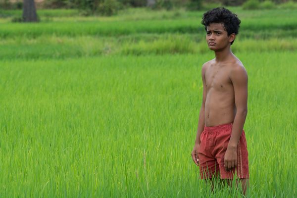 (C)2019 Causeway Films HQ Pty Ltd, Filmfest Limited and Screen Australia. All rights reserved.