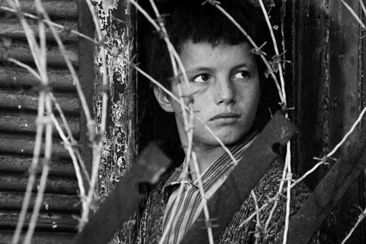 アルジェの戦い〈デジタル・リマスター/オリジナル言語版〉・画像・写真 ぴあ映画