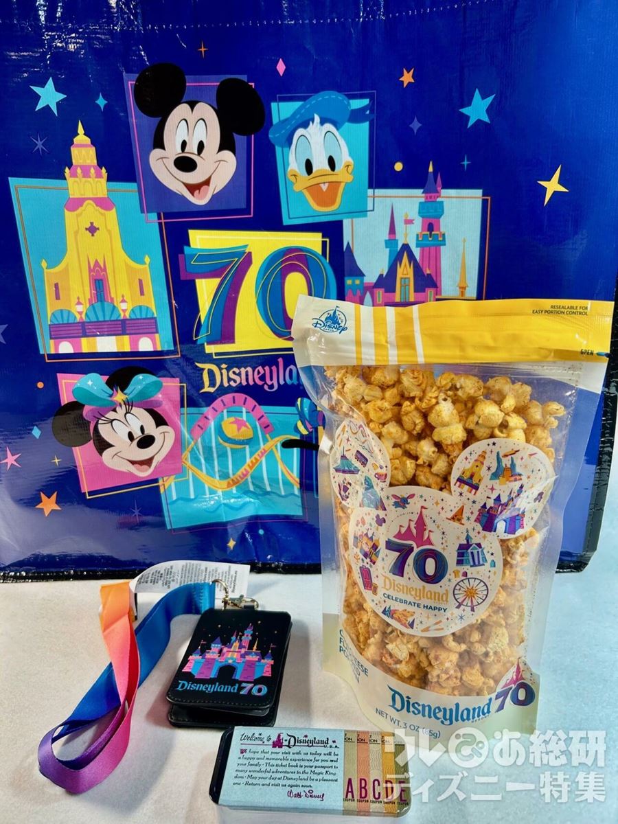 ディズニーランド　70周年　開園日　ガイド　ピン　シール　セット o1080065715619422787.jpg