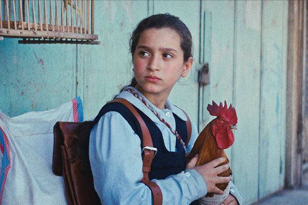 (C)2025 TPC Film LLC All Rights Reserved.