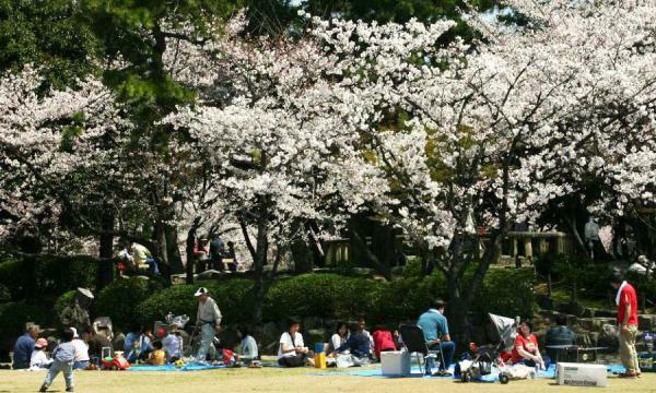 清洲公園の桜 ぴあエンタメ情報