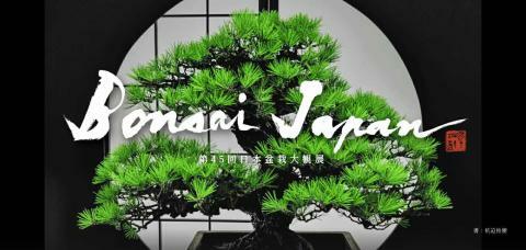 第45回日本盆栽大観展 デモンストレーション観覧券 | ぴあエンタメ情報