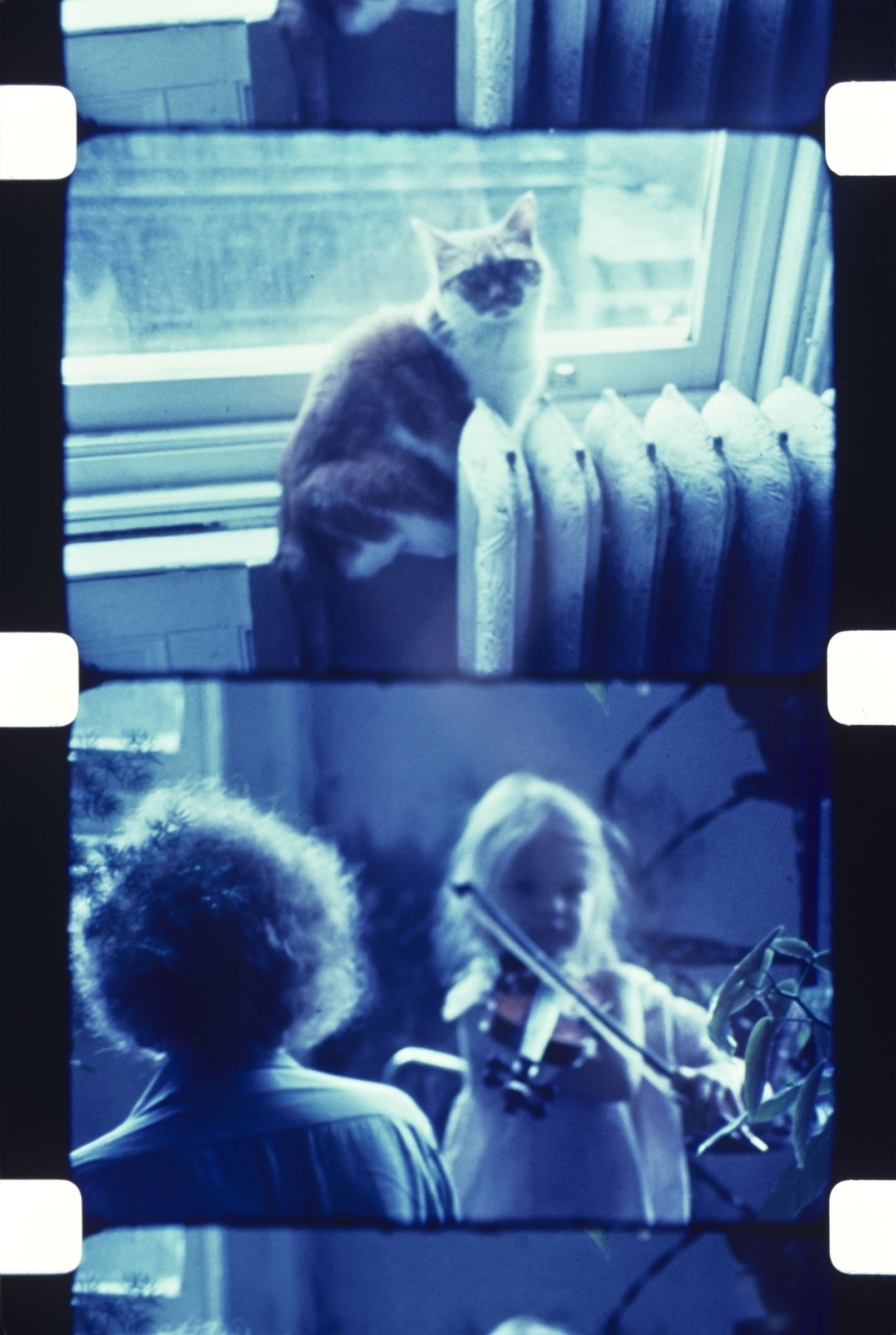 ジョナス・メカス 《猫のサンシャインに見守られヴァイオリンの練習をするウーナ、ソーホー、ニューヨーク、1977年 （ 「いまだ失われざる楽園」より）》 個人蔵