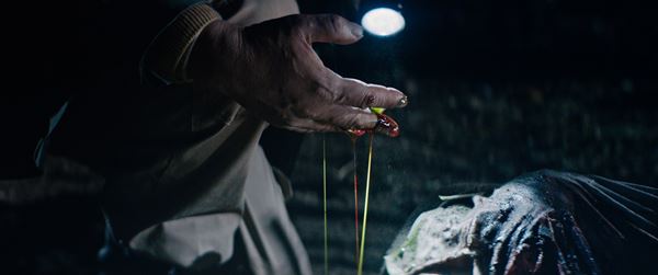 (C)Copyright 2018 CRUACHAN S.R.L / ROUGE INTERNATIONAL / UPRODUCTION / CINESTACION