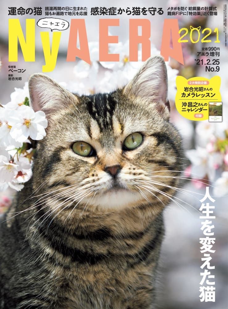 Nyaera ニャエラ 人生を変えた猫特集 岩合光昭が表紙撮影 撮影テク解説 ぴあエンタメ情報