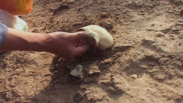 (C)LES FILMS D’ICI-CS PRODUCTIONS-ARTE FRANCE CINEMA-ADOK FILMS-WANG BING 2018