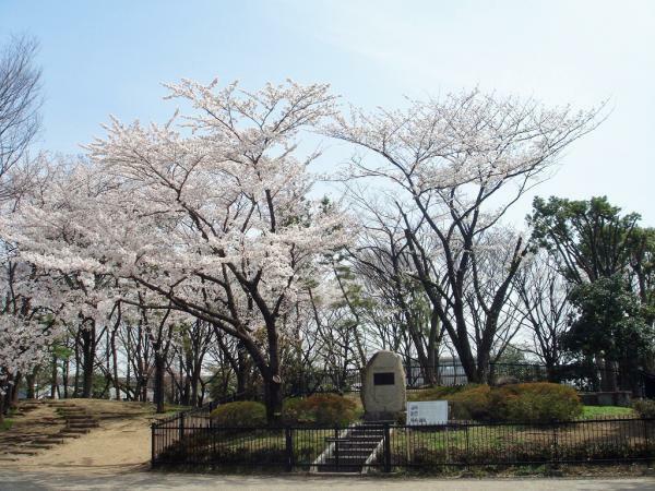 提供：公益財団法人東京都公園協会