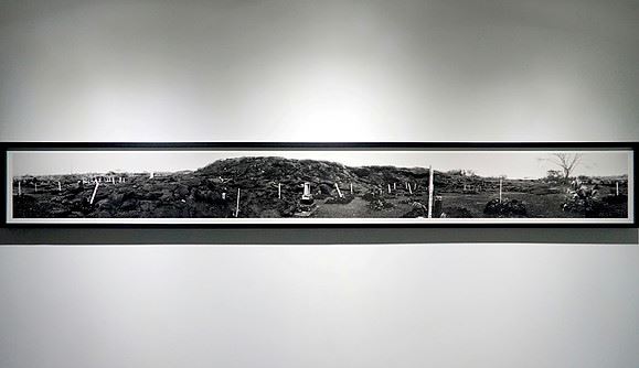 Pahoa, Hawaii, Hawaii  from the series KIPUKA (installation view) 2015 | archival pigment print  | 250 × 1910 mm  © Ai Iwane, courtesy KANA KAWANISHI GALLERY