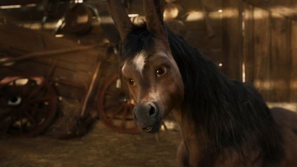 (C)2021 CTB Film Company LLC - CGF LLC - All-Russian State Television and Radio Broadcasting Company