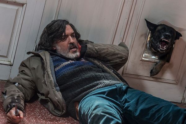 (C)SUBETE AL TREN 2019