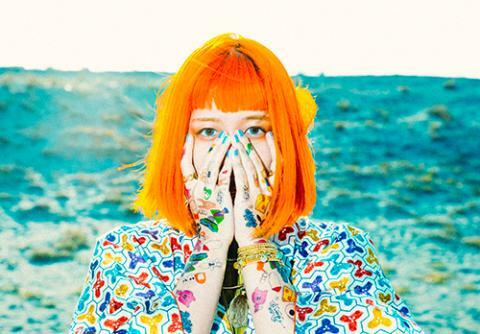 カメレオン・ライム・ウーピーパイ