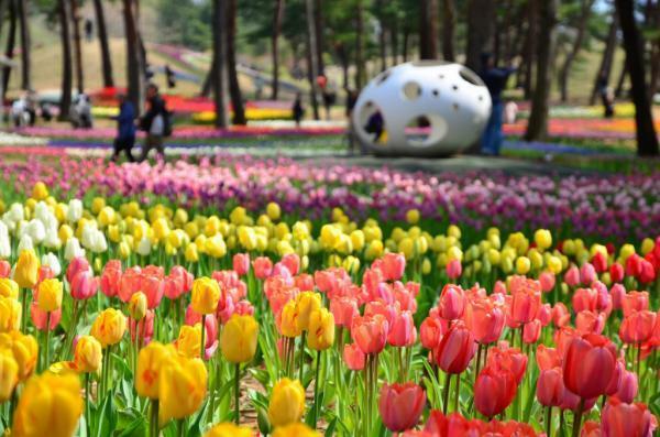 提供：国営ひたち海浜公園