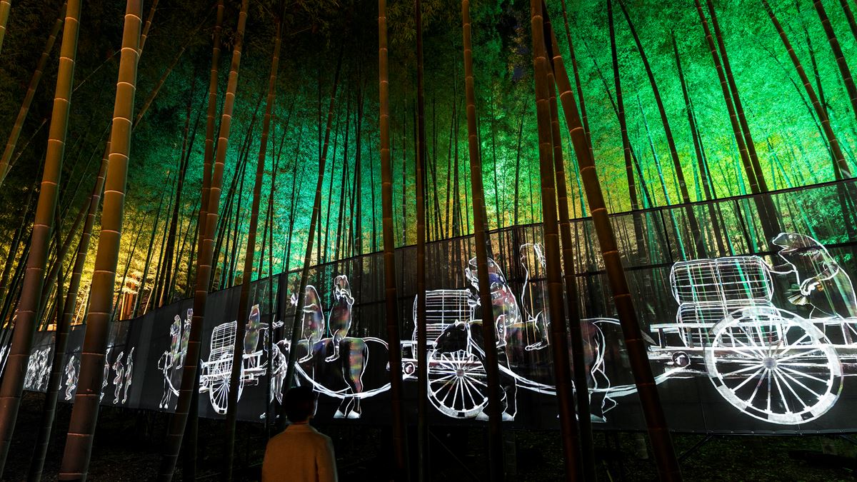 Walk, Walk, Walk - 孟宗竹林 / Walk, Walk, Walk - Moso Bamboo Forest teamLab, 2021, Digital Installation, Endless, Sound: Hideaki Takahashi, Voices: Yutaka Fukuoka, Yumiko Tanaka