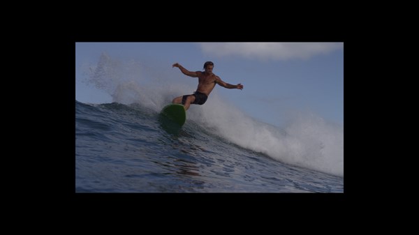 (C) 2017 TAKE EVERY WAVE LLC