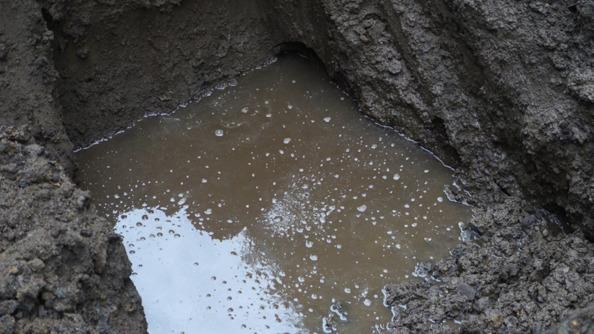 徳川埋蔵金伝説 大発掘プロジェクト2014 将軍家の暗号・画像・写真 ぴあ映画
