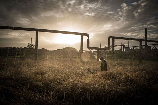 (C)2017 Century Fortune Pictures Corporation Limited