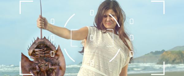 (C)2021 RAVEN BANNER ENTERTAINMENT INC.