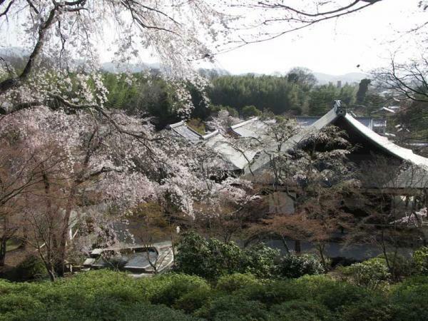 提供：天龍寺