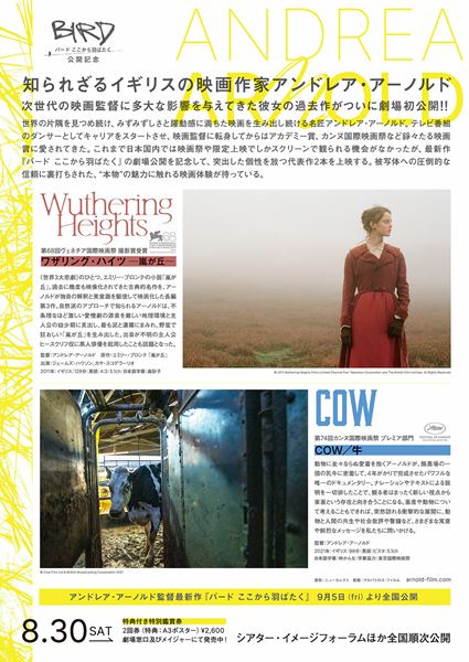 (C)2011 Wuthering Heights Films Limited Channel Four Television Corporation and The British Film Institute. All Rights Reserved