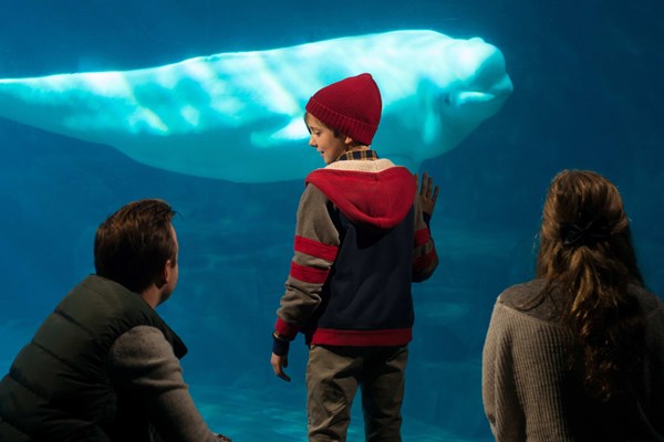 (C)2015 Drax (Canada) Productions Inc./ Drax Films UK Limited.