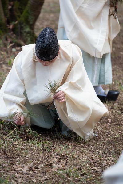 （c）賀茂別雷神社（上賀茂神社）