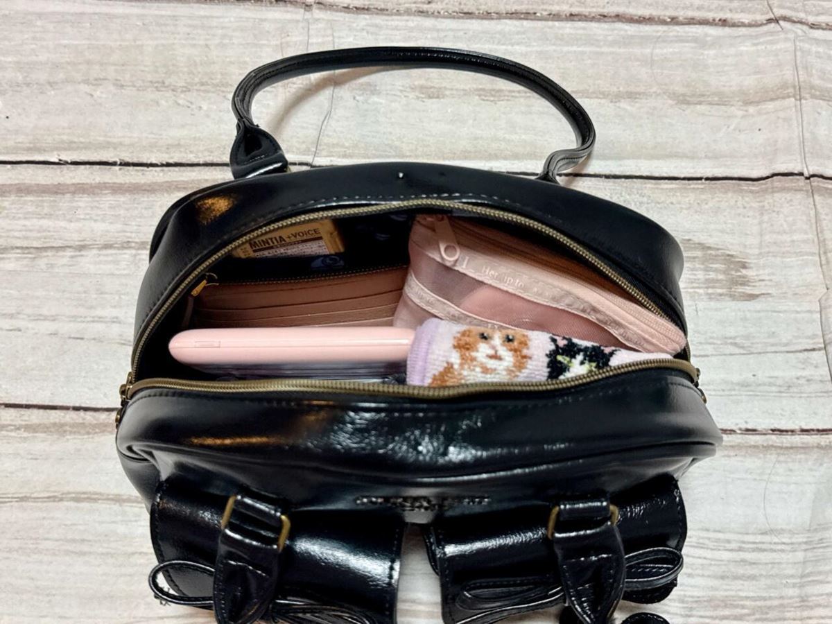 【カワウソ屋様専用】ANNA SUI mini 15点おまとめ ANNA SUI mini 15th anniversary BOOK おおきなLESSON TOTE BAG (宝島社ブランドムック)