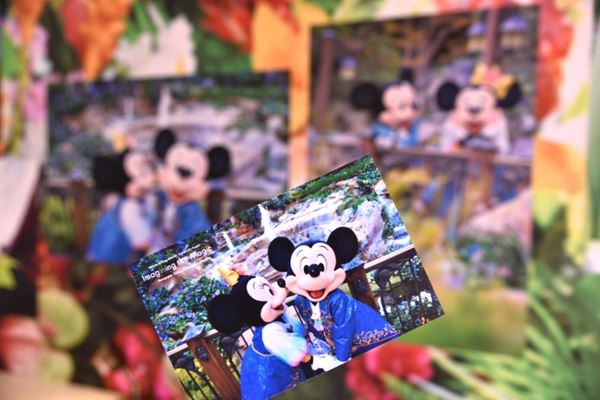 蜷川実花が切り取る「美しすぎるミッキー&ミニー」♪ 東京ディズニー