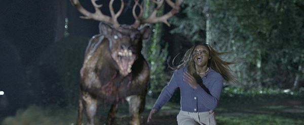 (C)2025 ITN Distribution Inc. All Rights Reserved.