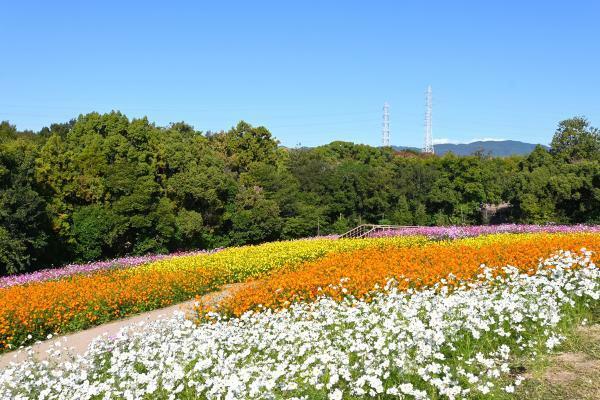 提供：万博記念公園マネジメント・パートナーズ