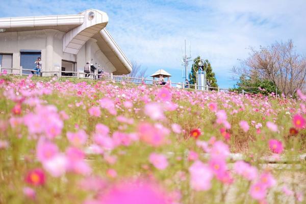 提供：有田川町役場