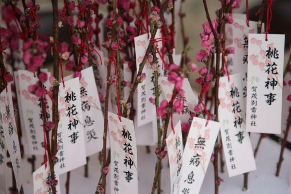 （c）賀茂別雷神社（上賀茂神社）