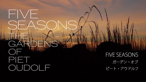 (C)Five Seasons Media LLC, 2019