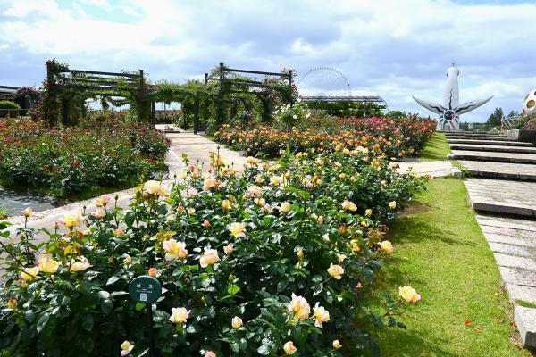 提供：万博記念公園マネジメント・パートナーズ