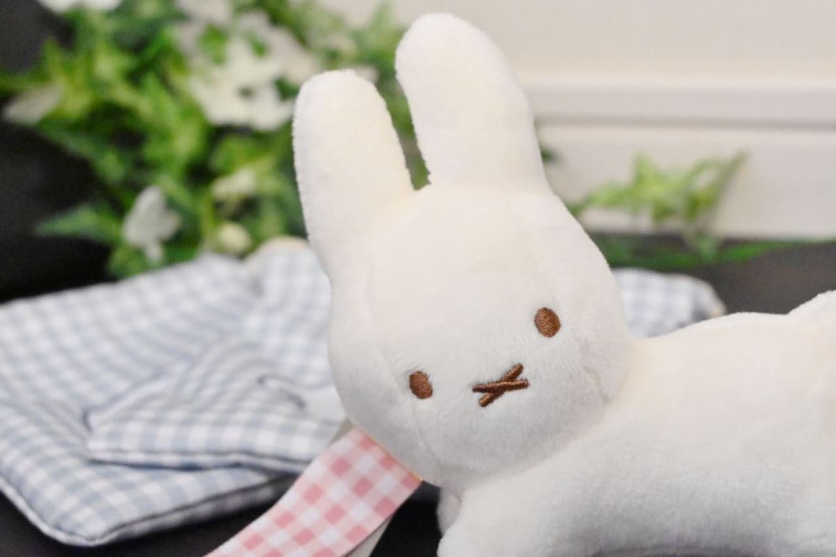 ファミマ限定】「かわいすぎ注意」“ブルーナアニマルくじ”を引いてみた