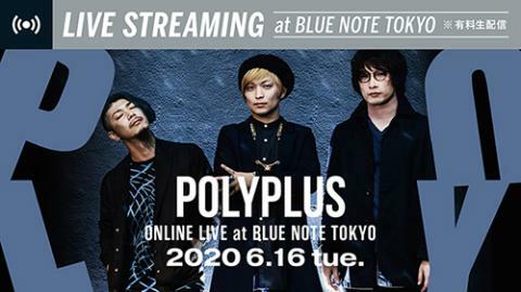 動画配信】POLYPLUS 無観客配信ライヴ・アット・ブルーノート東京