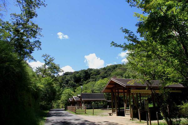 提供：千葉県立清和県民の森