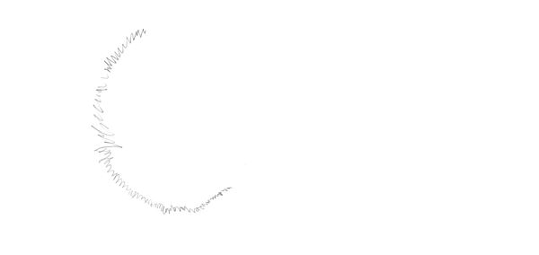 /shared/materials/295b472e-ded6-4262-b0e3-dcd15d96e385/thumbnail